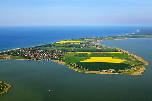 nächstes Bild